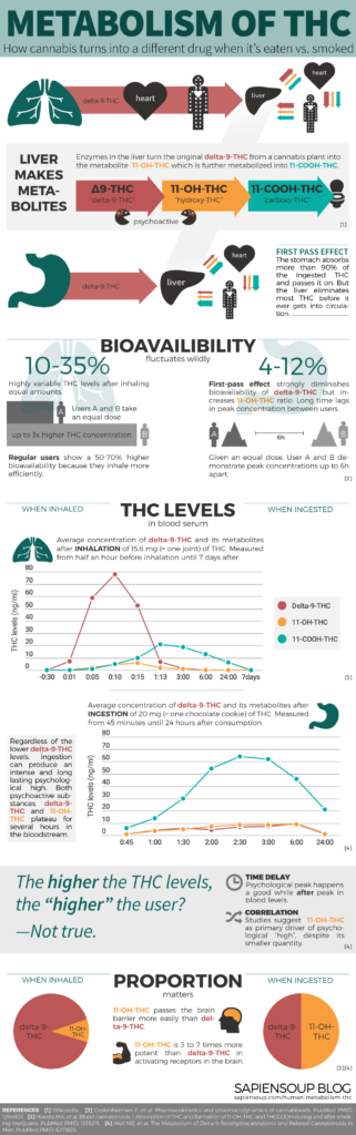 Human Metabolism Of THC Sapiensoup Blog