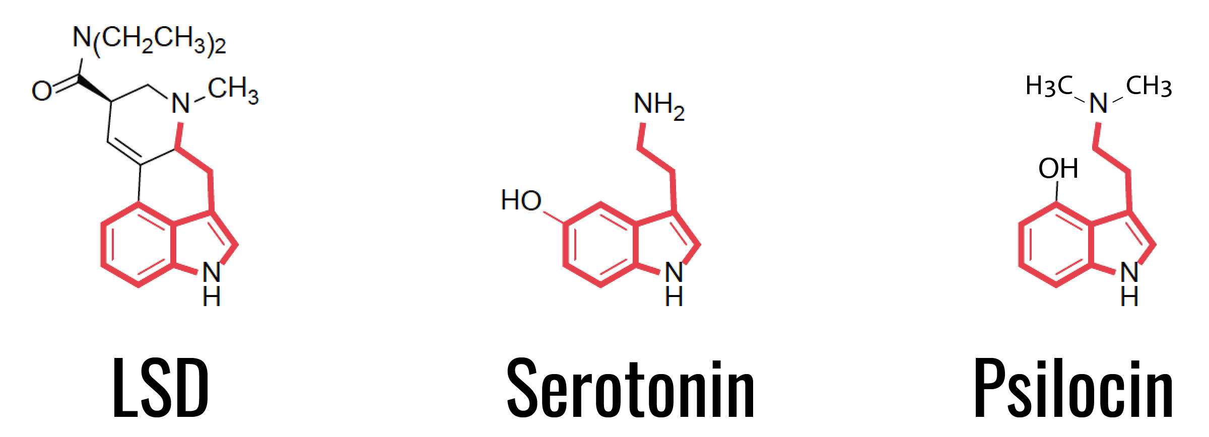 Chemical structure of serotonin, LSD and psilocin