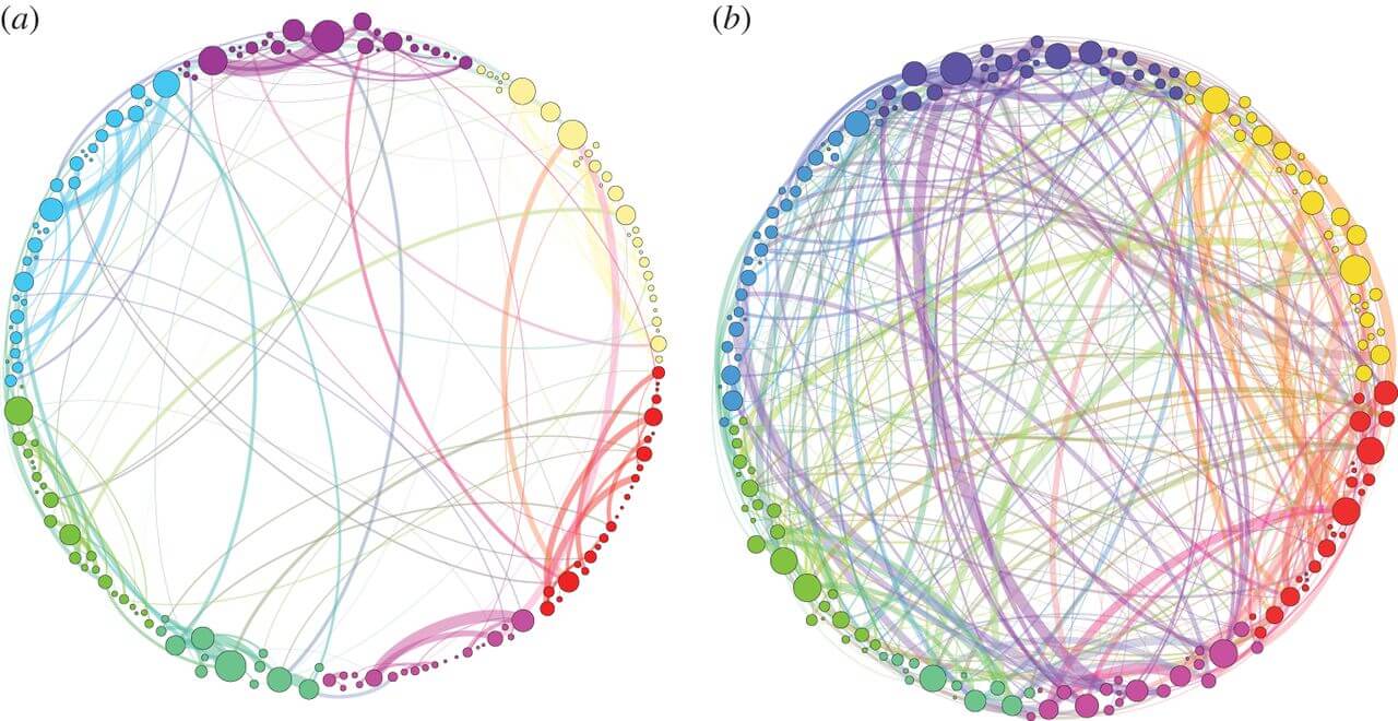 Comparison of brain's communication pathways after placebo vs. psilocybin