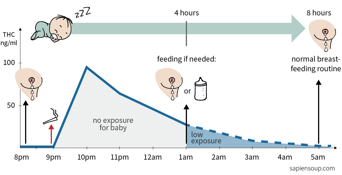 timing for consuming cannabis while breastfeeding