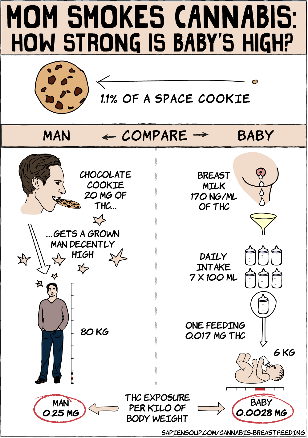 math on how high baby gets from THC infused breastmilk