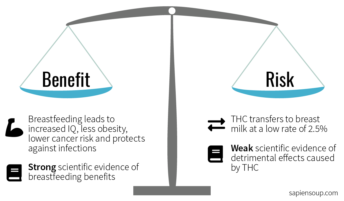 Only Small Amounts Of Thc Transfer Into Breast Milk Sapiensoup Blog