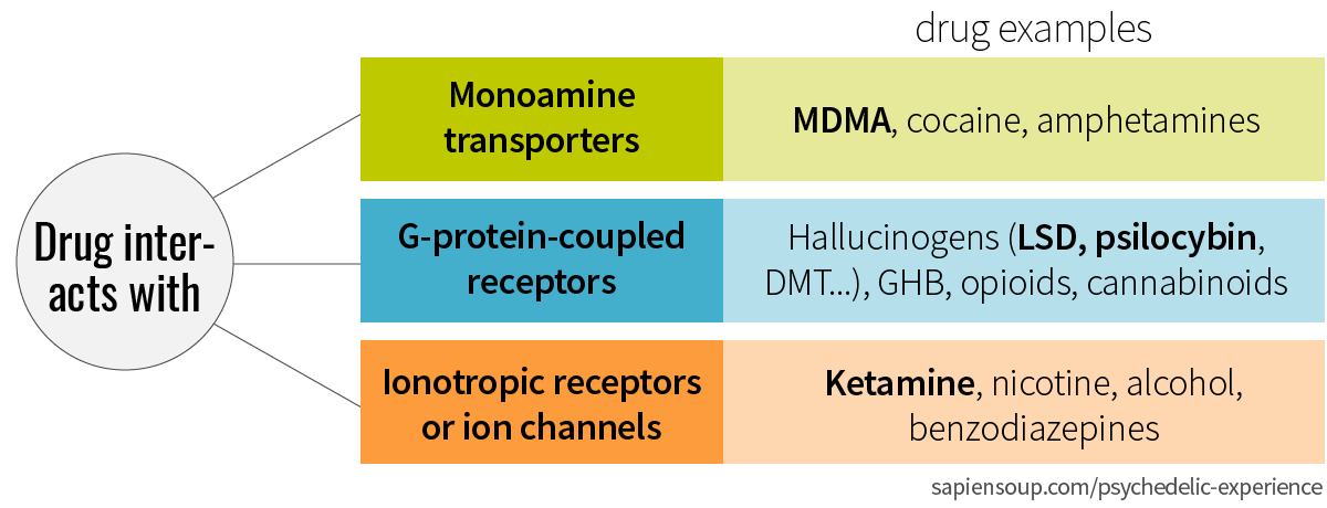 Drugs classification by monoamine transporter, G-protein coupled receptors, ionotropic receptors or ion channels