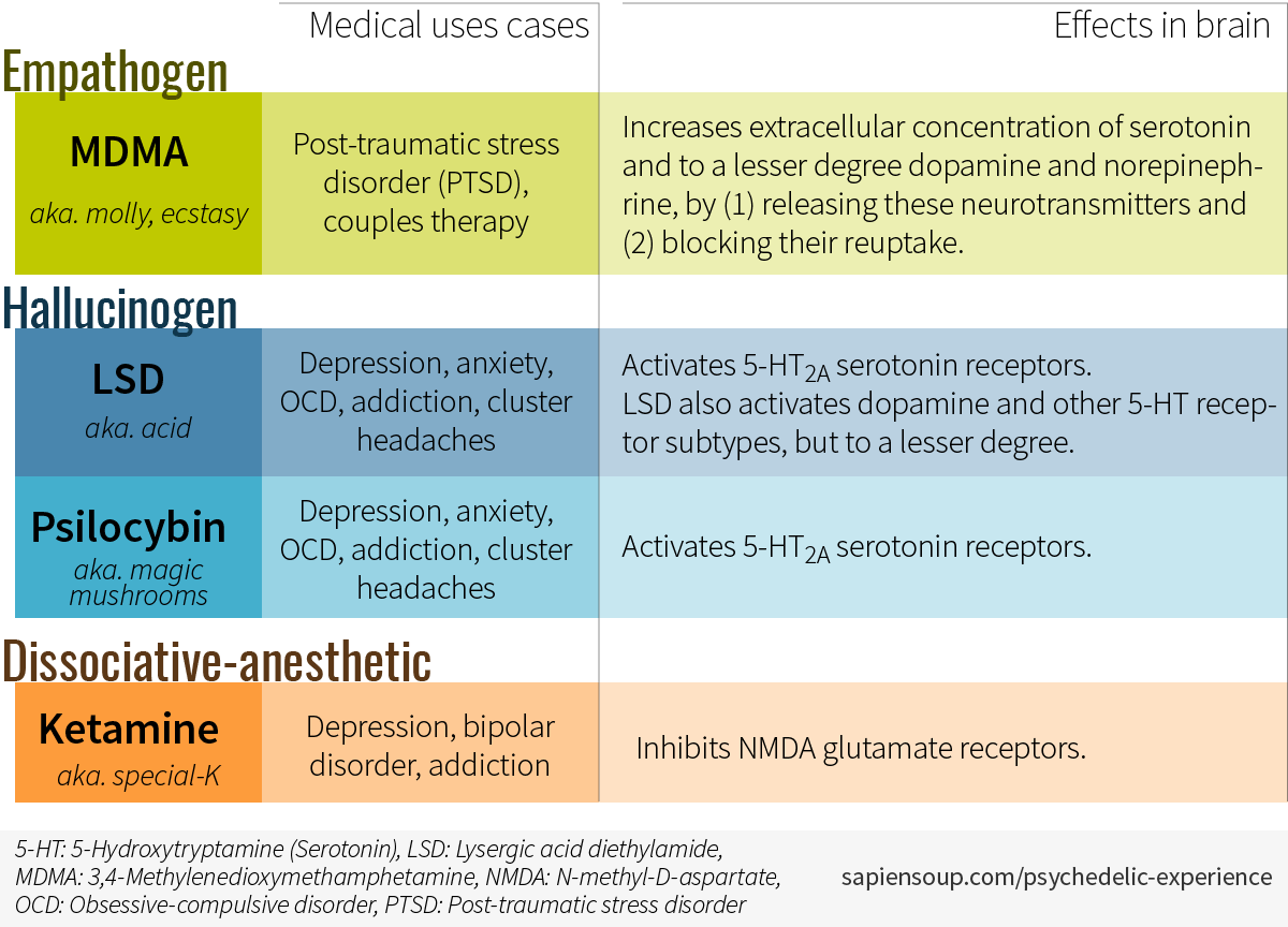 Mushroom Dosage Chart