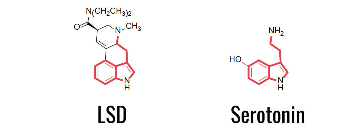 Comparison of chemical skeletal structure of serotonin and LSD