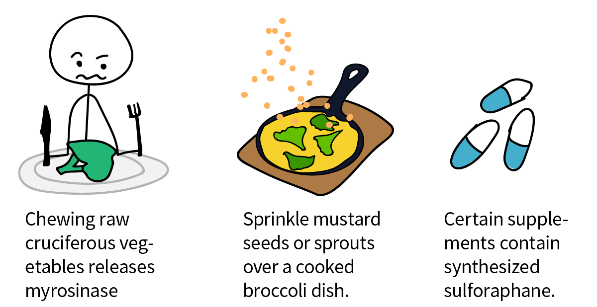 Dietal sources of myrosinase