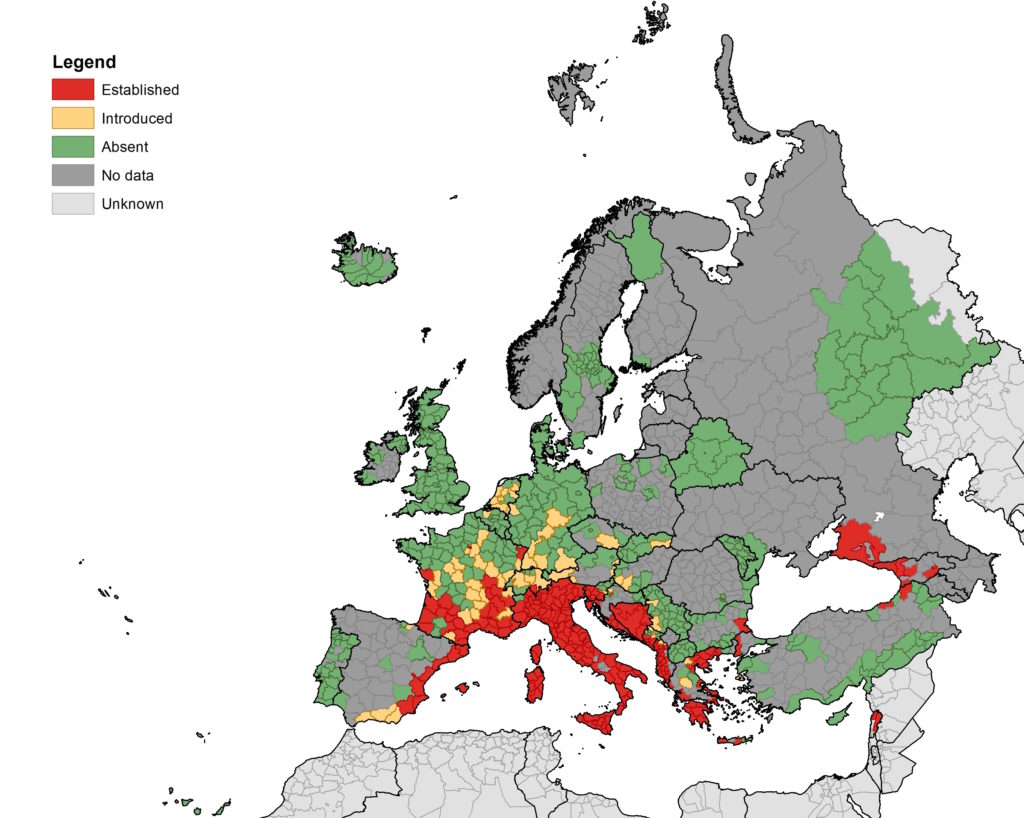 Areas in Europe where Aedes albopictus is present, July 2016